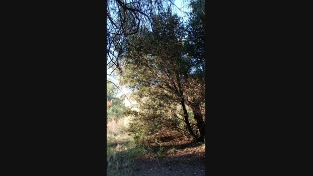 perrasum3 30-09-2024 Recorded Video kinky