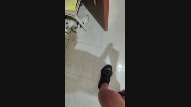 Nachovidal1985 02-10-2024 Recorded Video playtime