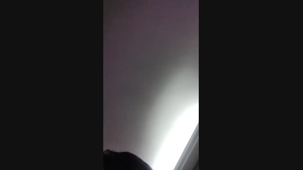 Quackdonald 02-10-2024 Recorded Video lovense