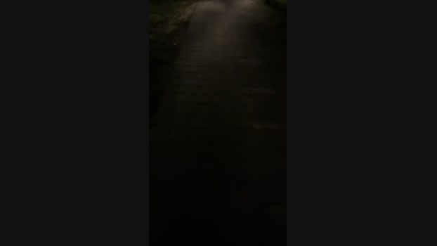 ccs588033123 01-10-2024 Recorded Video orgasm