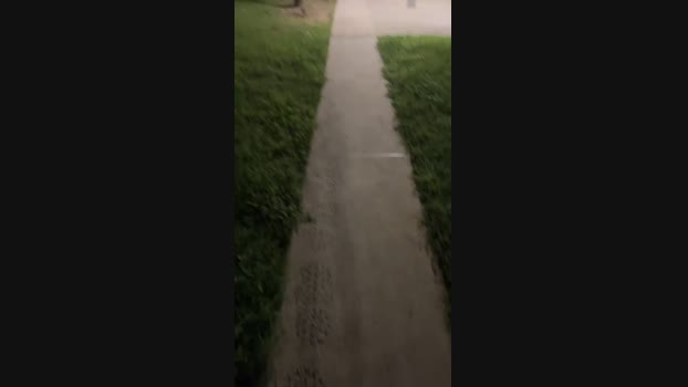 ccs588033123 01-10-2024 Recorded Video cute