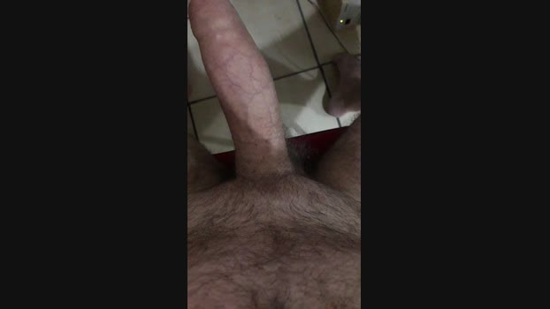 pintorsafado1 02-10-2024 Recorded Video bigass
