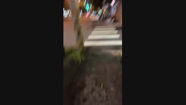 royz1205 02-10-2024 Recorded Video bigdick