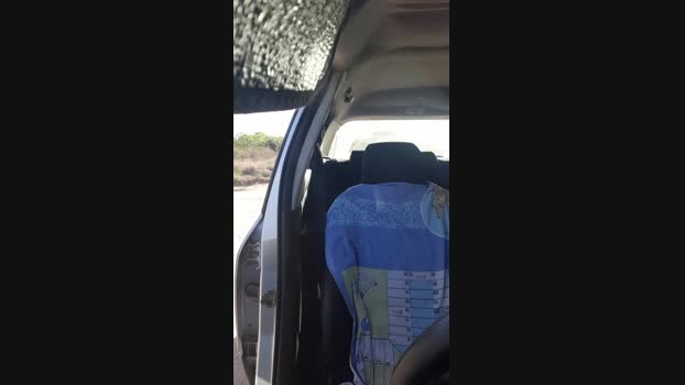 El_ceco 03-10-2024 Recorded Video juicy