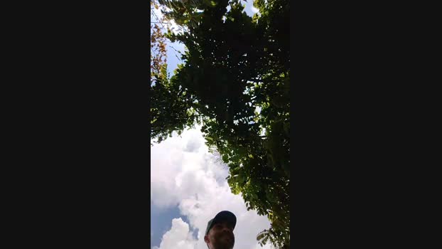 Sexylatinogay 02-10-2024 Recorded Video ass