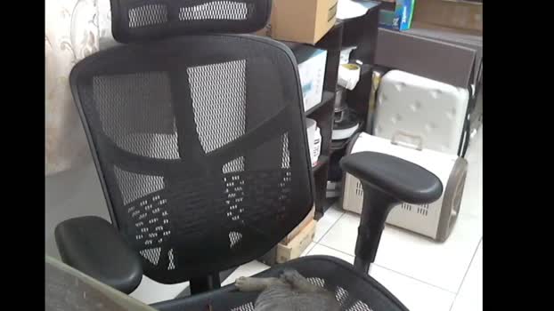 lQAQl 03-10-2024 Recorded Video yummy
