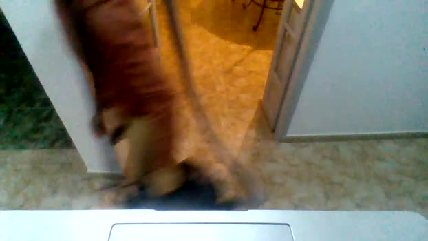 Enzoetdiego 04-10-2024 Recorded Video play