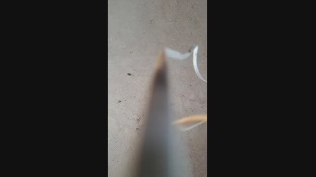 Ribeirosiebes 04-10-2024 Recorded Video sexyfeet