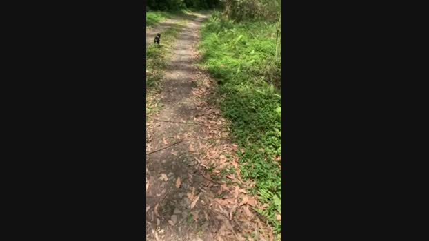 sid_bila 05-10-2024 Recorded Video sexykitty