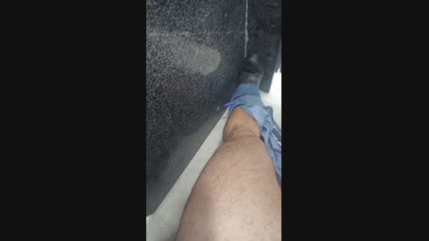 Andrerastape 05-10-2024 Recorded Video Ass