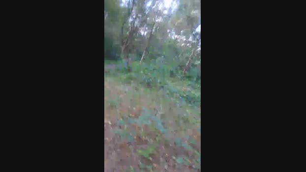 needitt2 06-10-2024 Recorded Video big