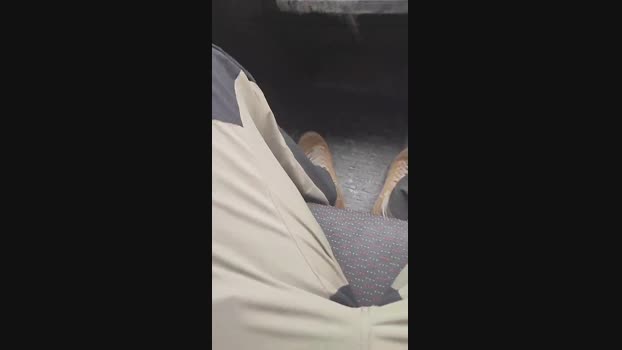 MisterHotman 07-10-2024 Recorded Video Webcam