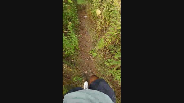 bulgingarmy 06-10-2024 Recorded Video gag