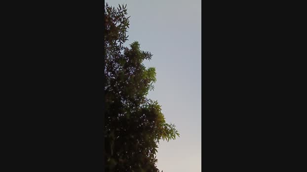 chiranjitho1 07-10-2024 Recorded Video Show
