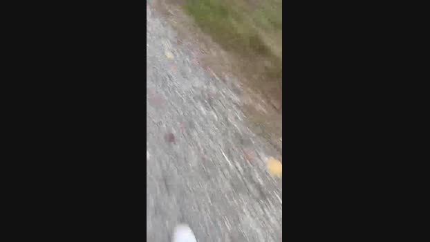 maturo32 07-10-2024 Recorded Video gag