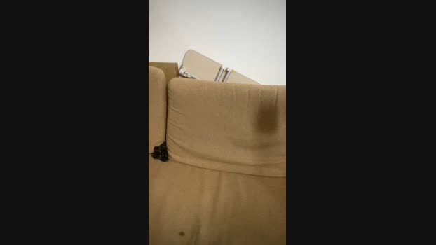 sexnakefun 07-10-2024 Recorded Video bigdick