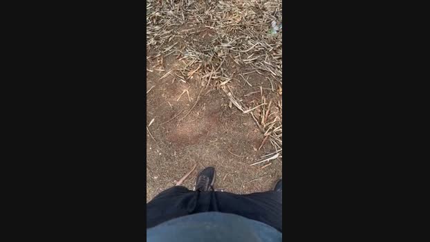 willian327 06-10-2024 Recorded Video moan