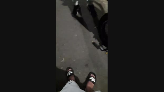 FaveladoSafadu