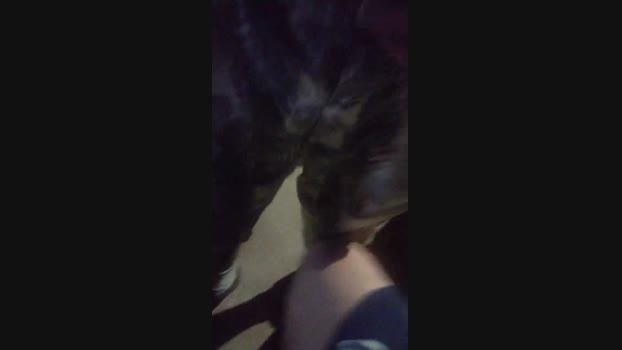 Fetichistahard 08-10-2024 Recorded Video Show