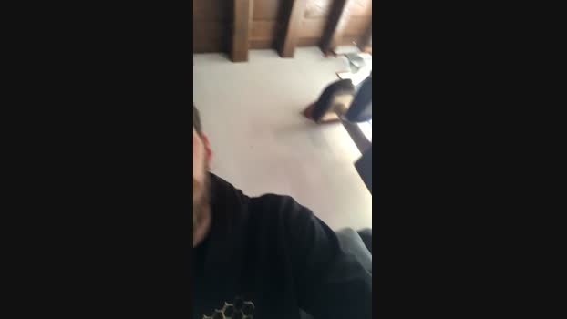 Lopebigdilat 08-10-2024 Recorded Video strip