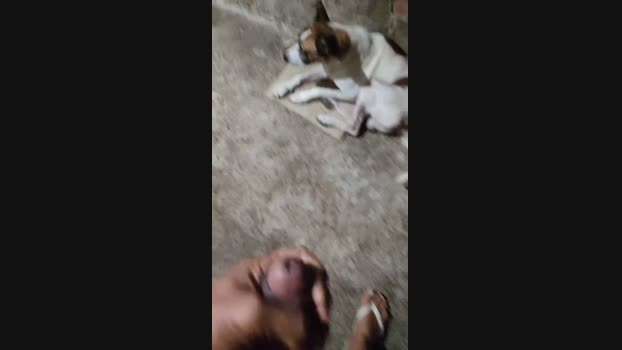 Vizinho01 08-10-2024 Recorded Video kinky