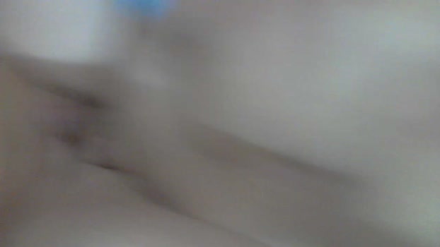 pollen_07 08-10-2024 Recorded Video lick