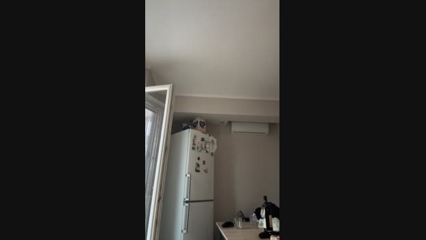 salvat21 08-10-2024 Recorded Video hardcock