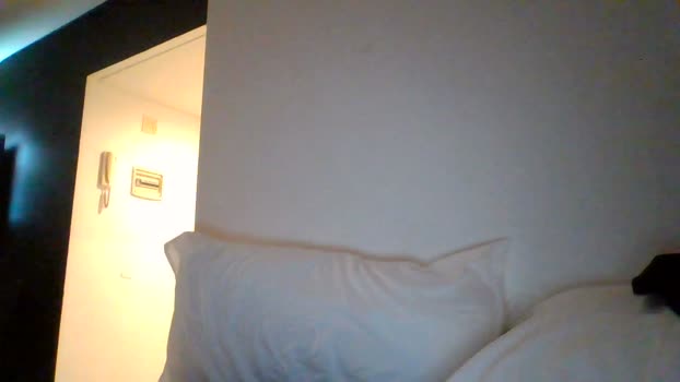 tanovikingo 08-10-2024 Recorded Video oral