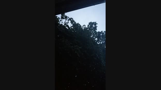 CDLukeLucy 09-10-2024 Recorded Video fuckface