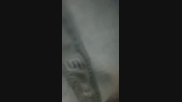 Caio_Silv93 10-10-2024 Recorded Video Webcam