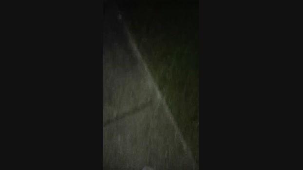 tunnookie 10-10-2024 Recorded Video lovense