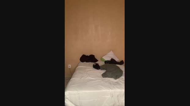 MeninoLobo_ 10-10-2024 Recorded Video gag