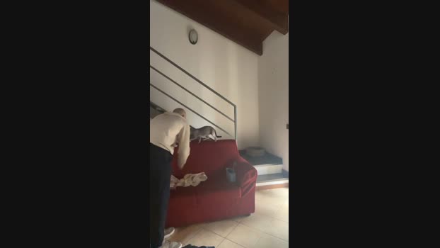 Clatoro_90 12-10-2024 Recorded Video natural