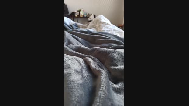 Frabroker 12-10-2024 Recorded Video lovense