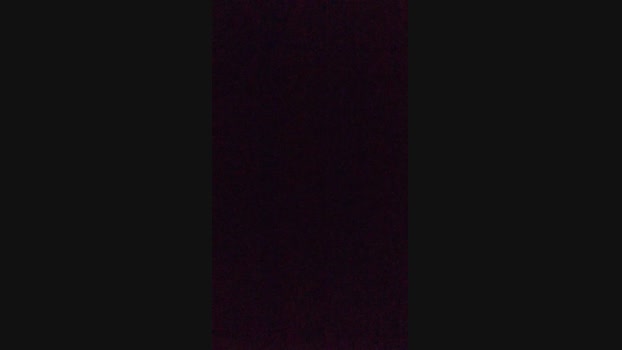Wellington20c 12-10-2024 Recorded Video bj-dildo