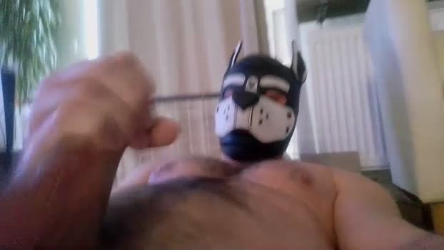 gaymuscledoc 12-10-2024 Recorded Video ass