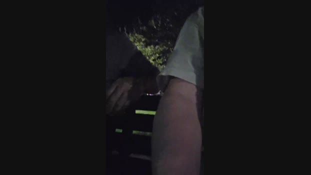 pollen_07 11-10-2024 Recorded Video moan