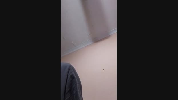 badeen 13-10-2024 Recorded Video orgasm