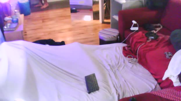 beefcakescl 12-10-2024 Recorded Video bigdick