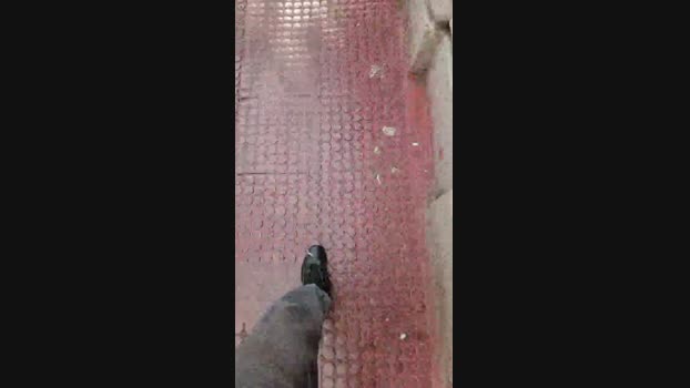 man546 12-10-2024 Recorded Video legs