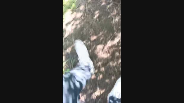 marcoroma57 13-10-2024 Recorded Video Show