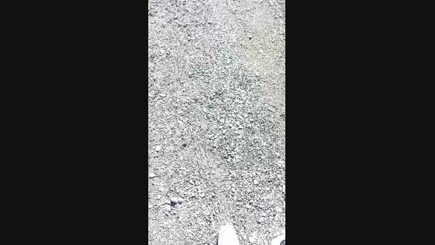 marcoroma57 13-10-2024 Recorded Video bigass