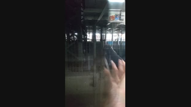 tokyo1130021kaz 13-10-2024 Recorded Video show