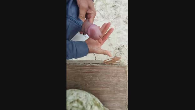 souzakw2 14-10-2024 Recorded Video squirt