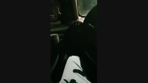 DotadoszUber 15-10-2024 Recorded Video bigtoys