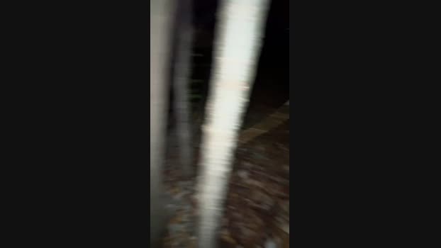 Legolar 14-10-2024 Recorded Video hardcock