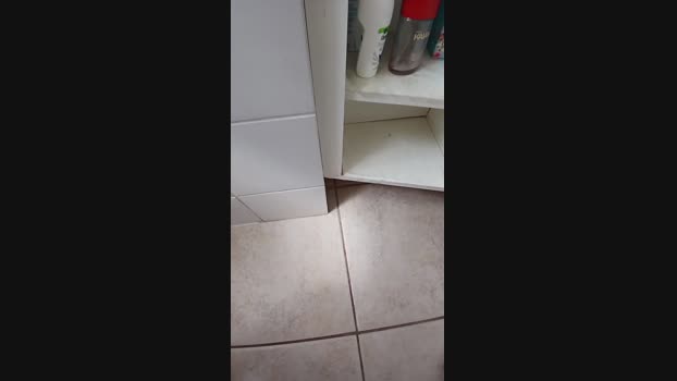 LoganWolverine2 14-10-2024 Recorded Video jackoff