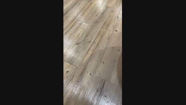 Lucas106977 15-10-2024 Recorded Video fuckface