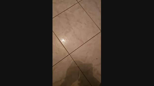 gostosomt1978 15-10-2024 Recorded Video sexybody