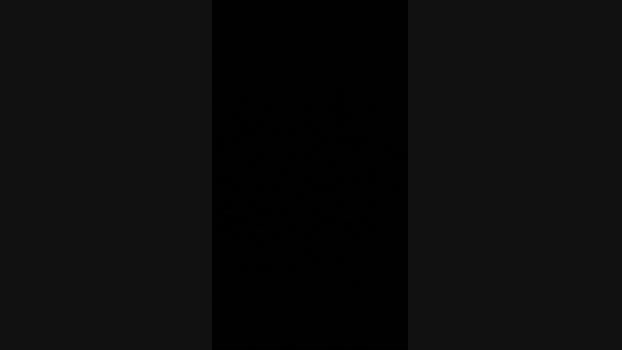 vigia7 14-10-2024 Recorded Video cute